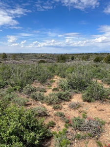 Land For Sale in Dove Creek, CO! - image 13