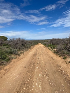 Land For Sale in Dove Creek, CO! - image 29