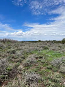 Land For Sale in Dove Creek, CO! - image 14