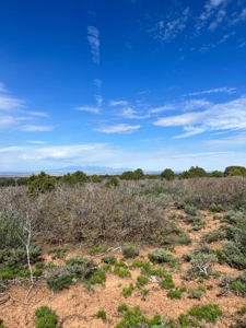 Land For Sale in Dove Creek, CO! - image 24