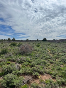 Land For Sale in Dove Creek, CO! - image 7