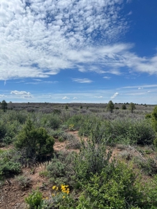 Land For Sale in Dove Creek, CO! - image 12
