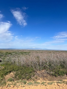Land For Sale in Dove Creek, CO! - image 21