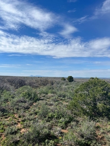 Land For Sale in Dove Creek, CO! - image 22