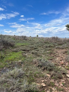 Land For Sale in Dove Creek, CO! - image 18