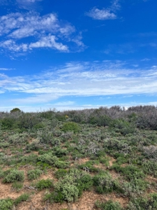 Land For Sale in Dove Creek, CO! - image 30