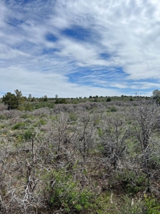 Land For Sale in Dove Creek, CO! - image 20