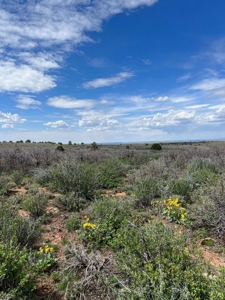 Land For Sale in Dove Creek, CO! - image 15