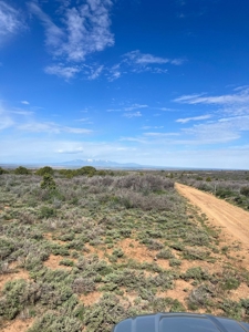 Land For Sale in Dove Creek, CO! - image 23