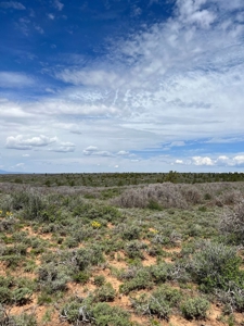 Land For Sale in Dove Creek, CO! - image 19