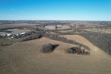LaFollette Land Auction Tract 1 Agency Farm - image 2