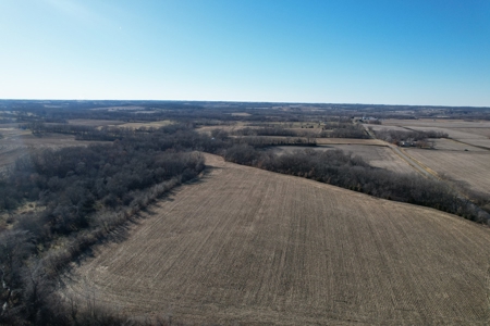 LaFollette Land Auction Tract 3 Agency Farm - image 5
