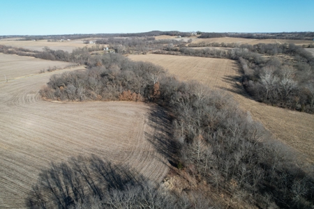 LaFollette Land Auction Tract 3 Agency Farm - image 10