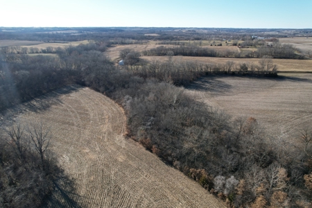 LaFollette Land Auction Tract 3 Agency Farm - image 9