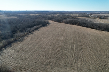LaFollette Land Auction Tract 3 Agency Farm - image 8