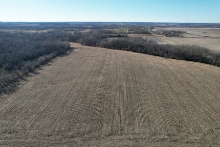 LaFollette Land Auction Tract 3 Agency Farm - image 7