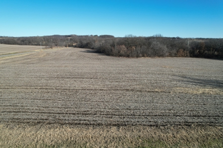 LaFollette Land Auction Tract 3 Agency Farm - image 2