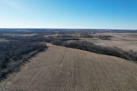 LaFollette Land Auction Tract 3 Agency Farm - image 6