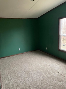 Small acreage for sale with home in Ava, Mo - image 12