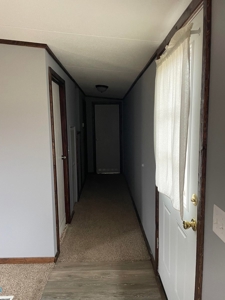 Small acreage for sale with home in Ava, Mo - image 7