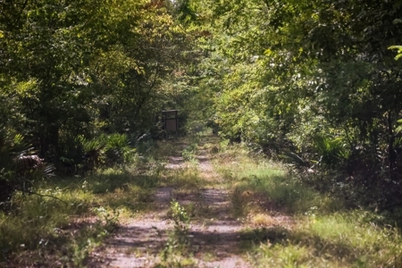 Hunting Land for Sale Just Outside of Baton Rouge - image 22