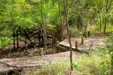 Hunting Land for Sale Just Outside of Baton Rouge - image 17