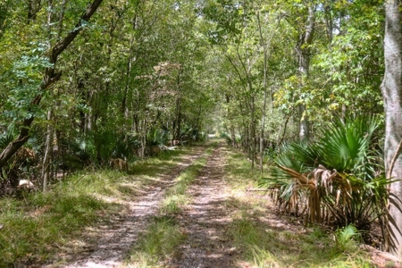 Hunting Land for Sale Just Outside of Baton Rouge - image 7
