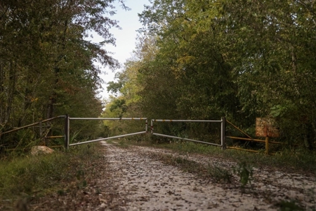 Hunting Land for Sale Just Outside of Baton Rouge - image 21