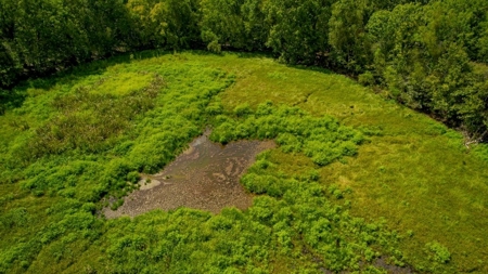 Hunting Land for Sale Just Outside of Baton Rouge - image 23