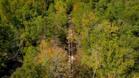 Hunting Land for Sale Just Outside of Baton Rouge - image 27