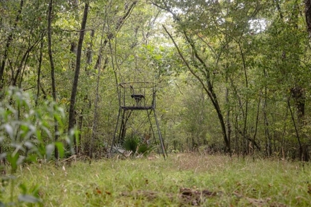 Hunting Land for Sale Just Outside of Baton Rouge - image 1