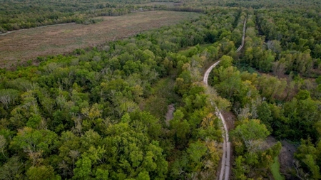 Hunting Land for Sale Just Outside of Baton Rouge - image 28