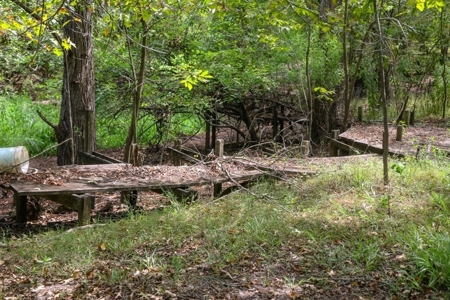 Hunting Land for Sale Just Outside of Baton Rouge - image 16