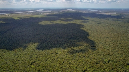 Hunting Land for Sale Just Outside of Baton Rouge - image 25