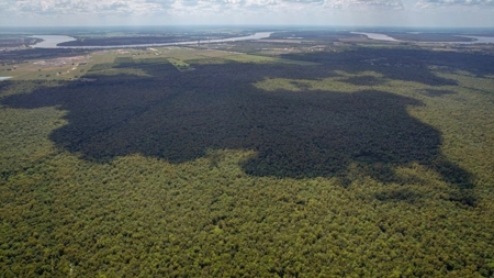 Hunting Land for Sale Just Outside of Baton Rouge - image 26
