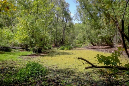 Hunting Land for Sale Just Outside of Baton Rouge - image 1