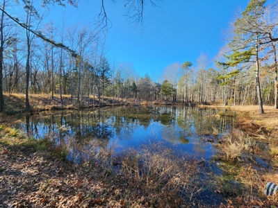 Billy Creek Country Home, Shop & Pond – National Forest - image 12