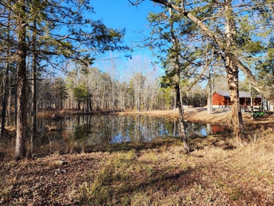 Billy Creek Country Home, Shop & Pond – National Forest - image 50