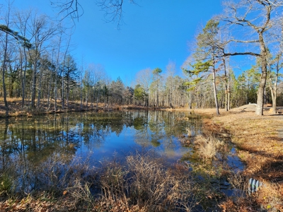 Billy Creek Country Home, Shop & Pond – National Forest - image 10