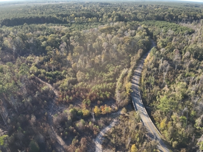 Recreational Timberland W/ Creek for Sale near Westport, LA - image 10