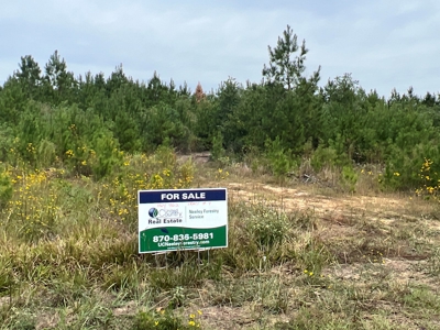 Recreational Timberland W/ Creek for Sale near Westport, LA - image 14