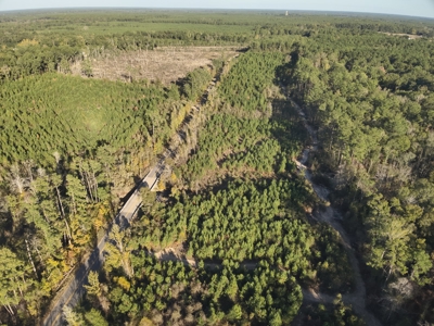 Recreational Timberland W/ Creek for Sale near Westport, LA - image 1