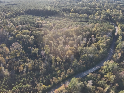 Recreational Timberland W/ Creek for Sale near Westport, LA - image 5