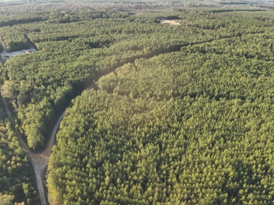 Diverse Planted Pine Timberland for Sale near Elizabeth, LA - image 10