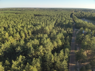 Diverse Planted Pine Timberland for Sale near Elizabeth, LA - image 11