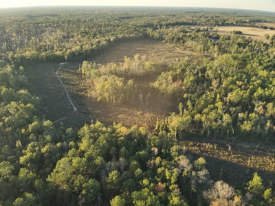 Large Diverse Timberland W/ Creek for Sale near Pitkin, LA - image 4