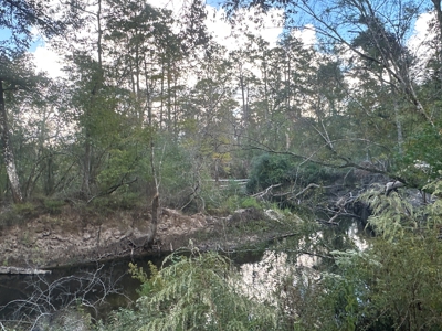 Large Diverse Timberland W/ Creek for Sale near Pitkin, LA - image 36