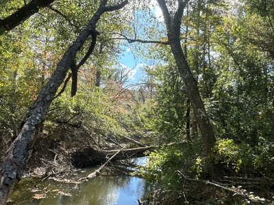 Large Diverse Timberland W/ Creek for Sale near Pitkin, LA - image 26