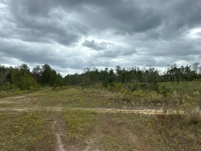 Large Diverse Timberland W/ Creek for Sale near Pitkin, LA - image 47