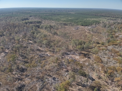 Large Diverse Land for sale in Caldwell Parish, Louisiana - image 13
